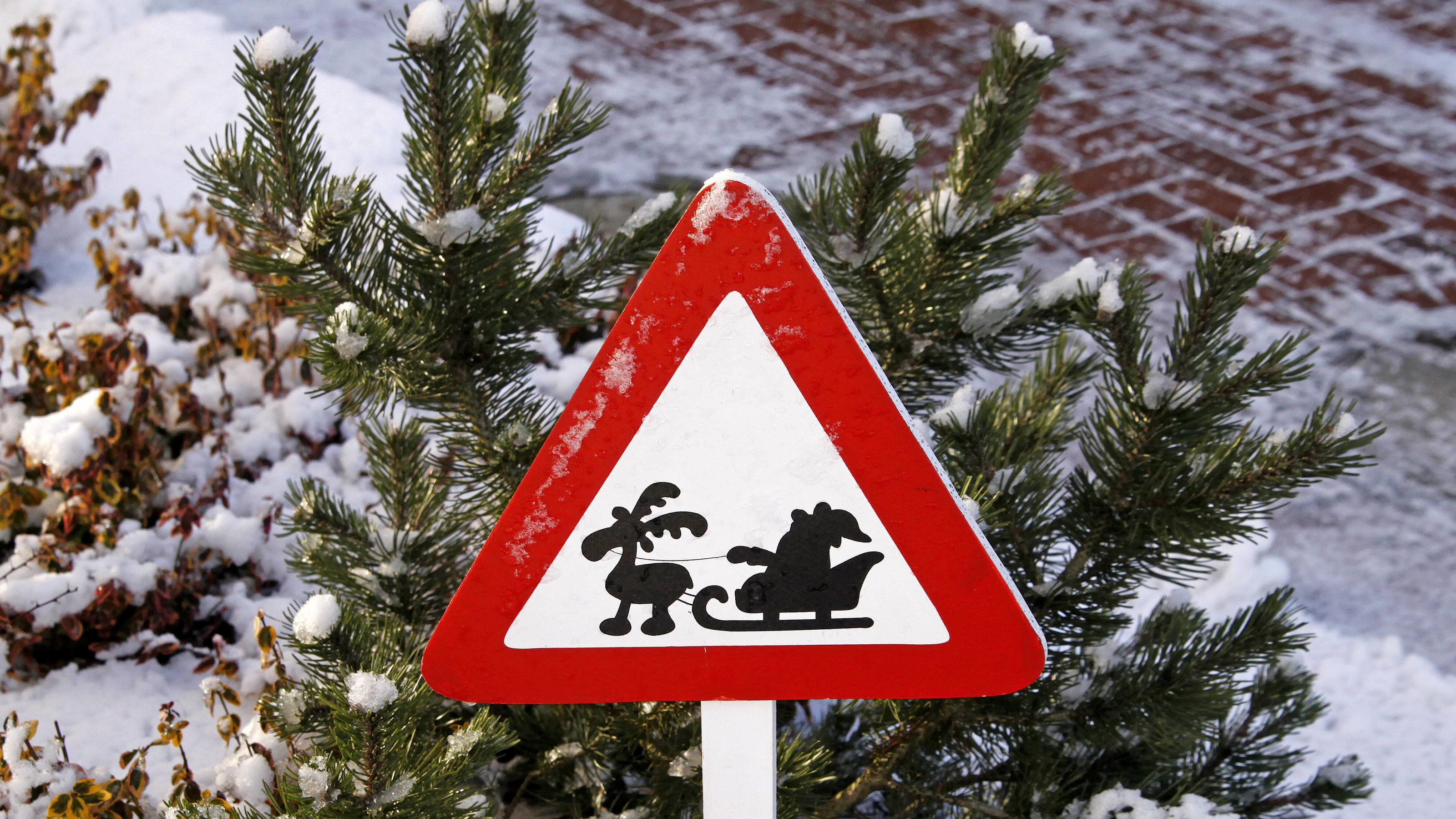 Wetterprognose Fur Den Winter 2021 2022 Gibt Es Schnee Zu Weihnachten Und Silvester