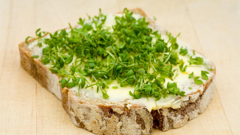 Kresse auf einem Brot mit Butter - mehr braucht es nicht.