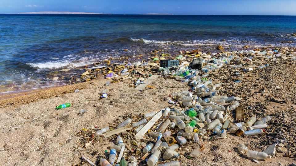 Plastikmüll im Meer - Rotes Meer Ägypten