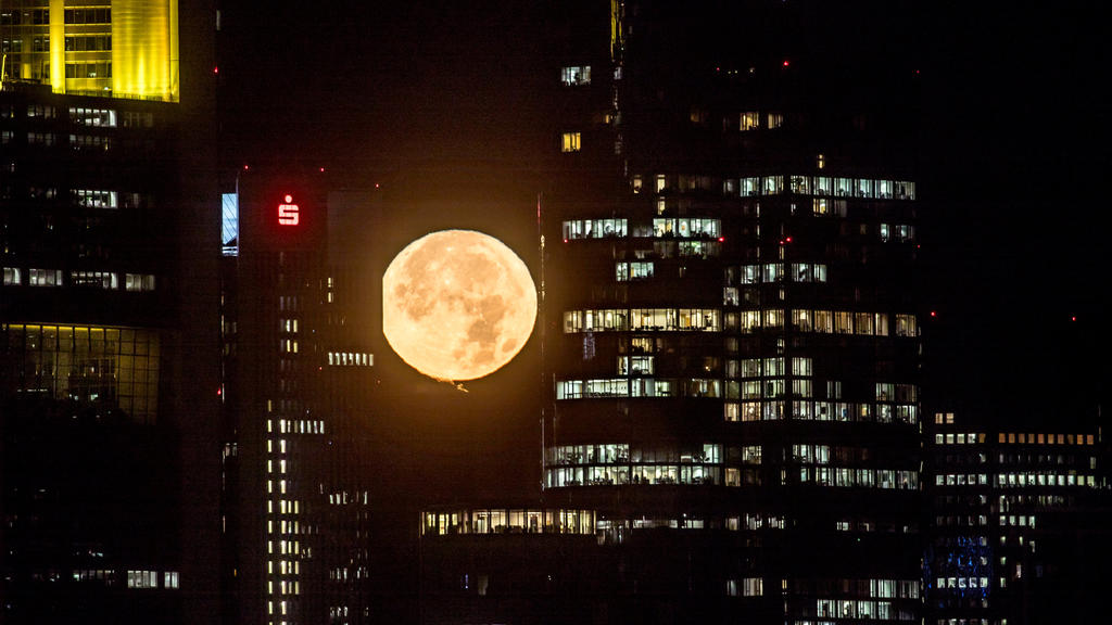 Der untergehende Mond strahlt am 14.11.2016 in Frankfurt am Main (Hessen) früh morgens hinter den Bankentürmen der Stadt. Der Mond kommt der Erde derzeit so nahe wie selten, wodurch er besonders groß erscheint. Foto: Frank Rumpenhorst/dpa +++(c) dpa