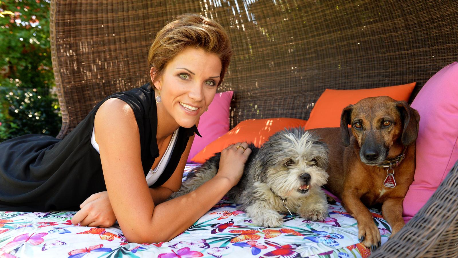 Kennenlernen hund baby