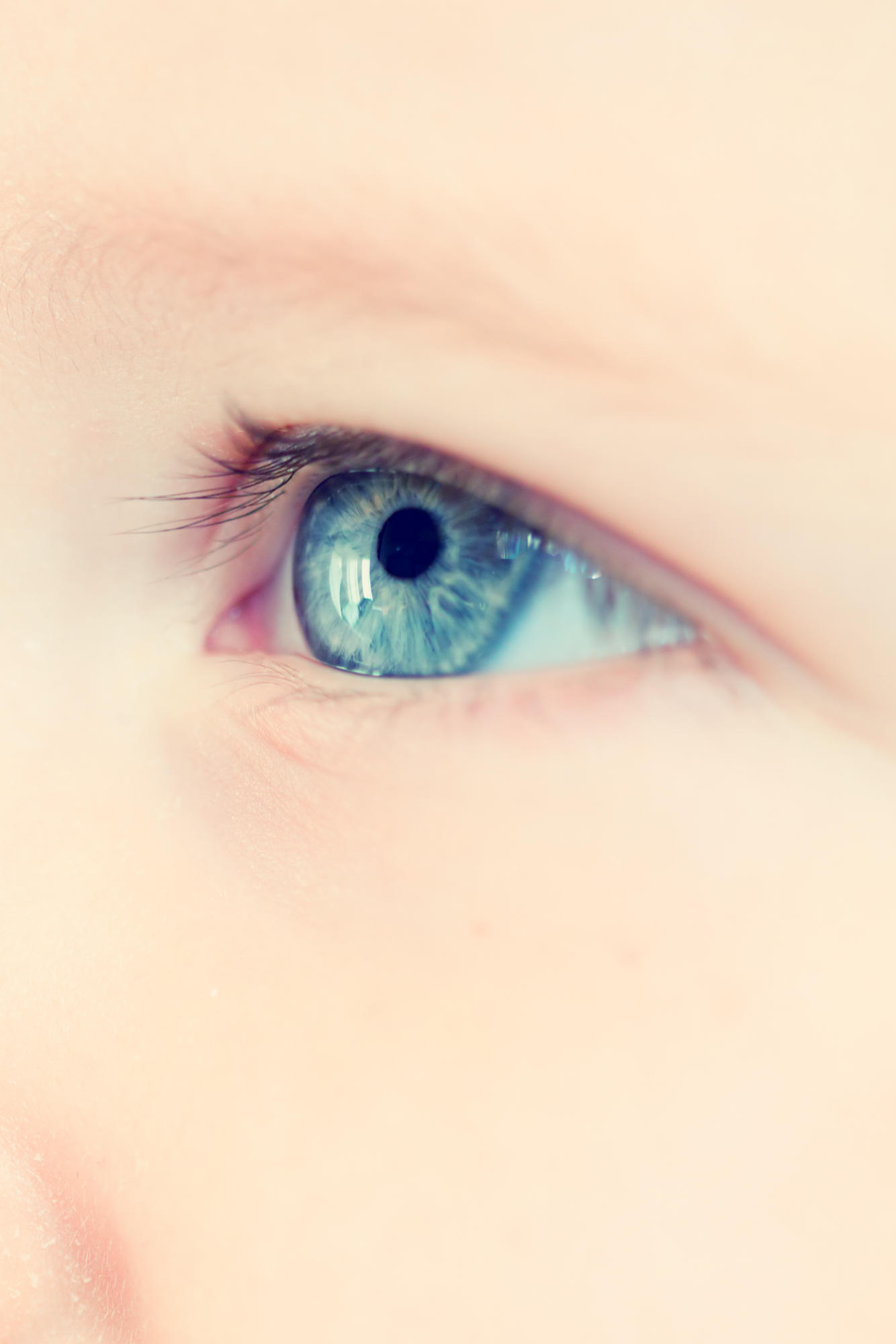 Augen eltern augen braune kind blaue Babys Augenfarbe: