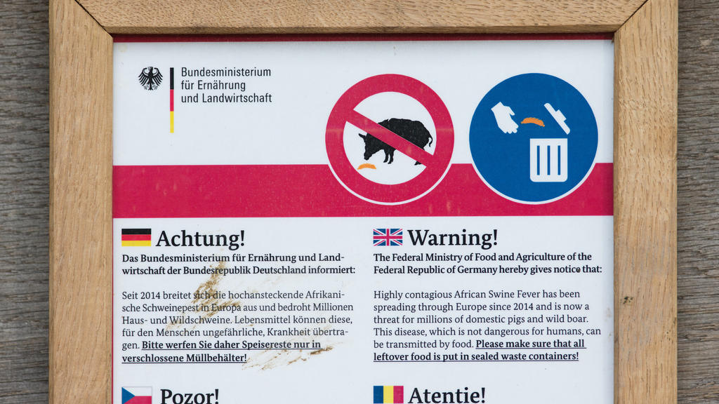 Ein Hinweisschild warnt am vor einem Gehege vom Heimat-Tierpark Olderdissen in Bielefeld