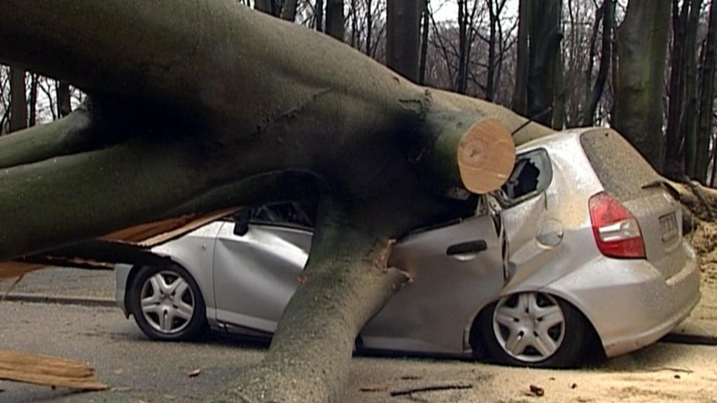 Ein umgestürzter Baum liegt am Donnerstag (18.01.2007) in Dortmund auf einem unbesetzten Auto. Umgestürzte Bäume, umherfliegende Dachziegel, voll gelaufene Keller und eingestellter Bahnverkehr: Das Orkantief "Kyrill" richtete am Donnerstag zahlreiche