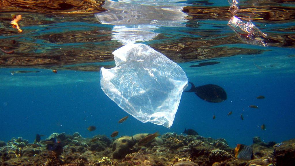 Eine Plastiktüte schwimmt über Korallen im Roten Meer in Ägypten am 01.08.2007. Die Vermüllung der Meere steht im Mittelpunkt einer am 30.05.2017 beginnenden dreitägigen Konferenz mit Vertretern der G20-Staaten in Bremen. (zu dpa "Konferenz