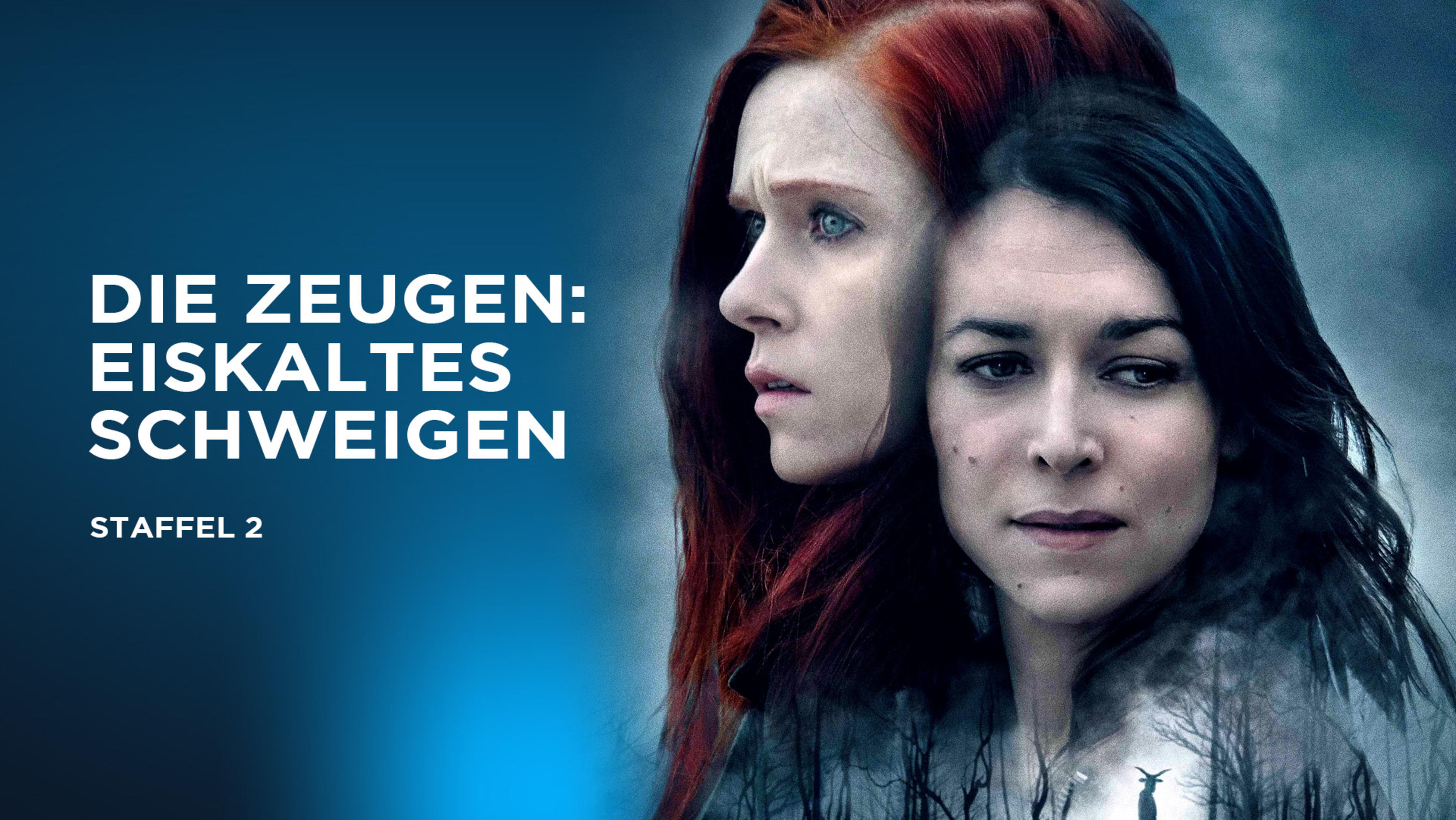 Die Zeugen Serie Staffel 1