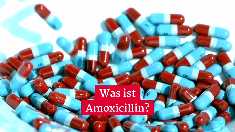 Amoxicillin 500 für hunde