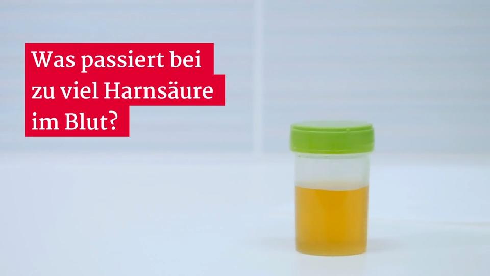 Diät für Fisterra mit hohem Harnsäuregehalt