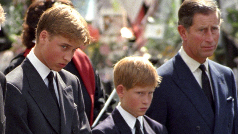 Prinzessin Diana Starb An Einer Winzigen Verletzung