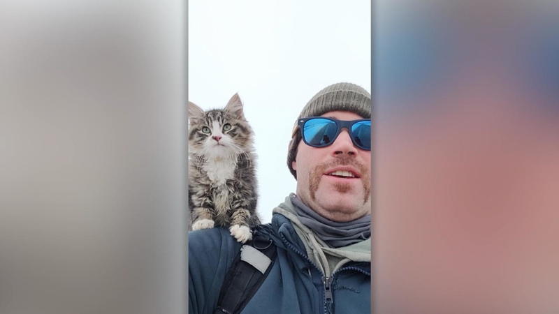 Süße Aktion in Kanada Wanderer rettet Katze bei Minusgraden und