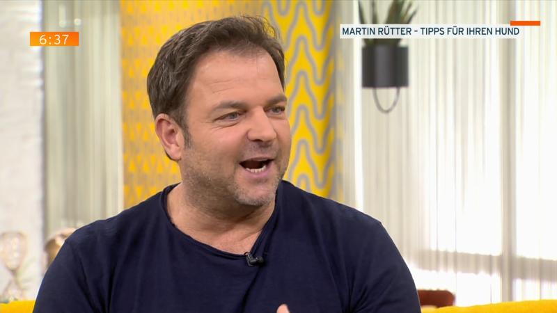 Hund Bellt Wenn Es Klingelt Martin Rütter Hund Bellt Wenn Es Klingelt Martin Rütter