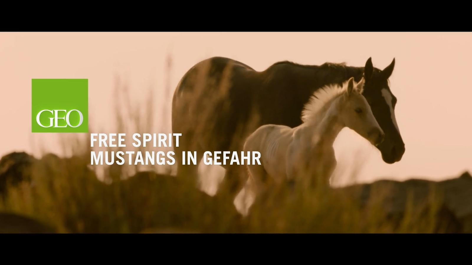 Free Spirit