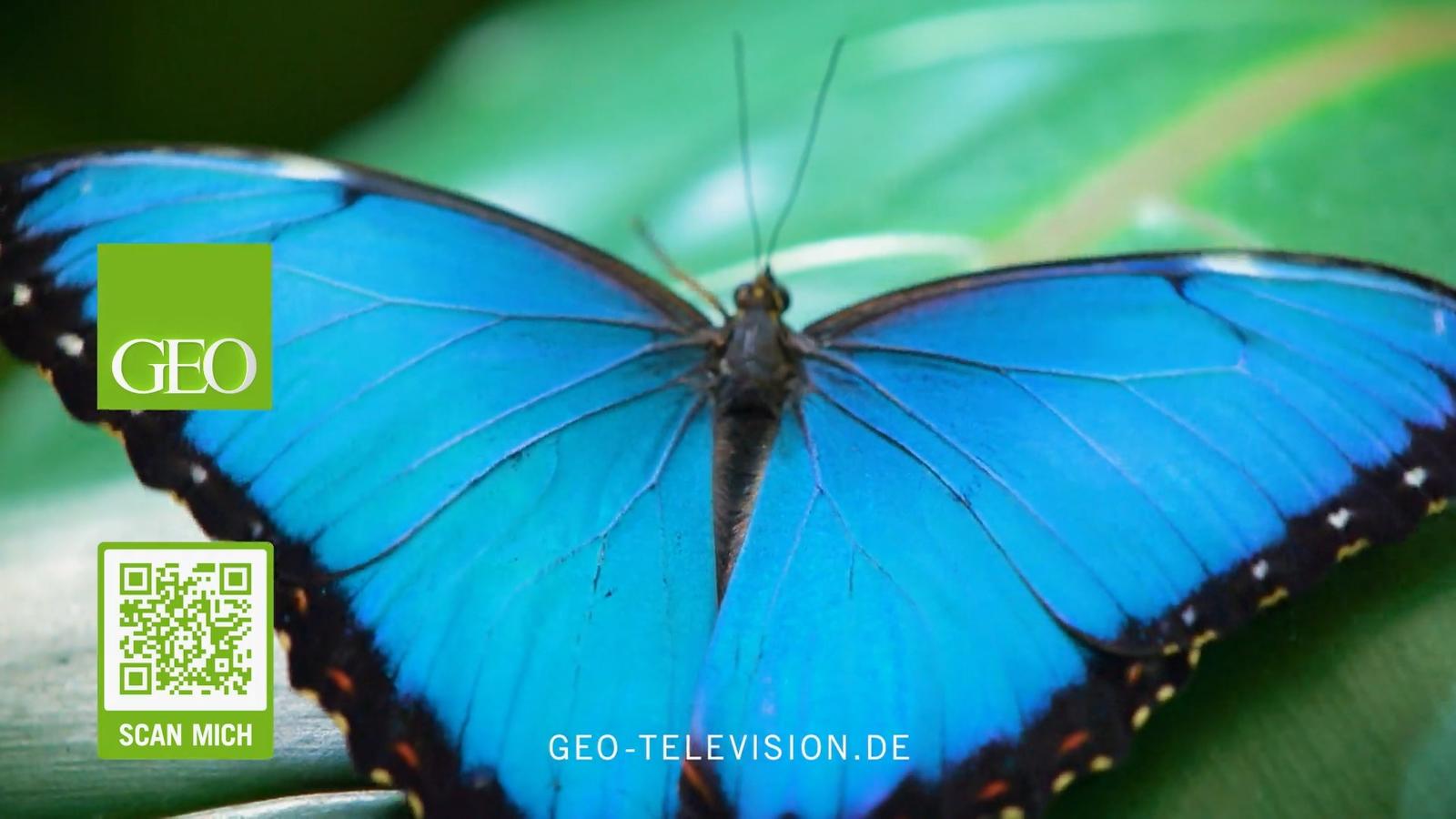 GEO Television