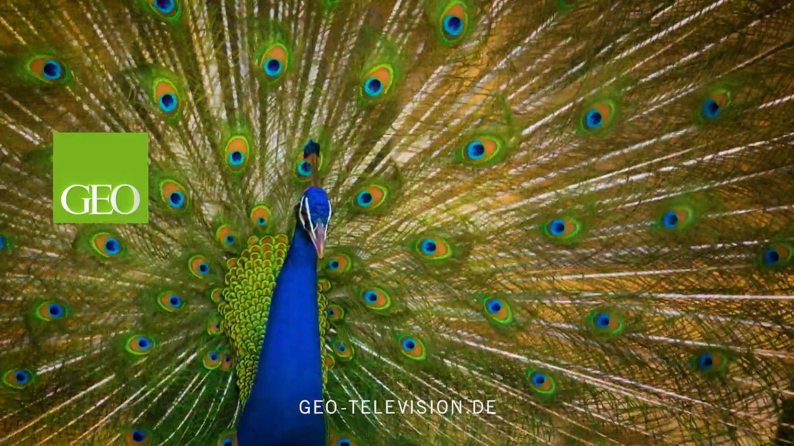 GEO Television