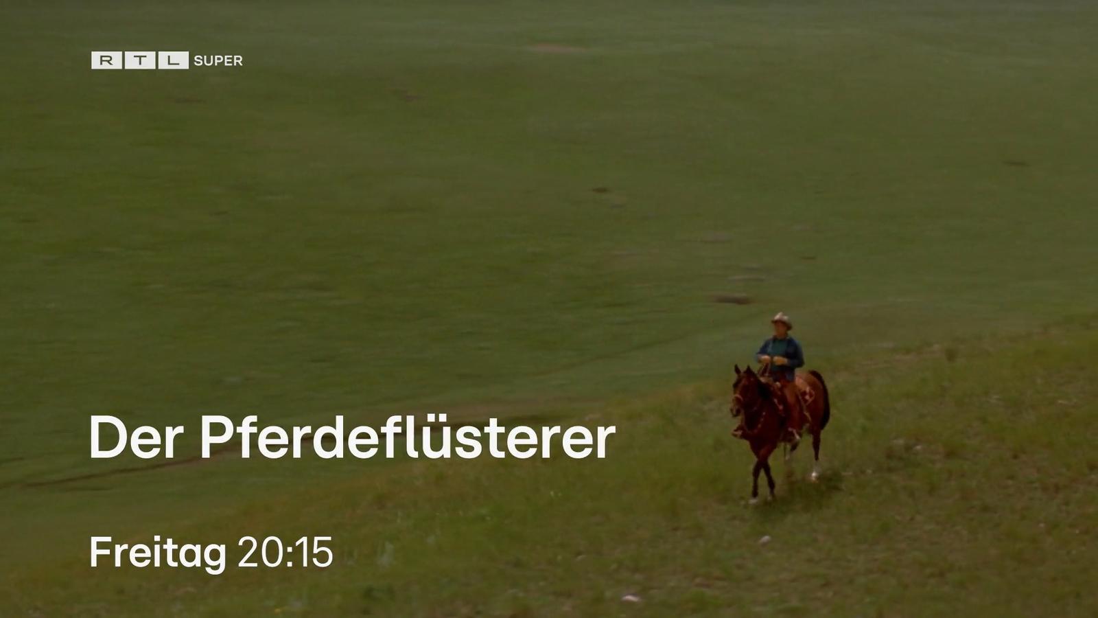 Der Pferdeflüsterer