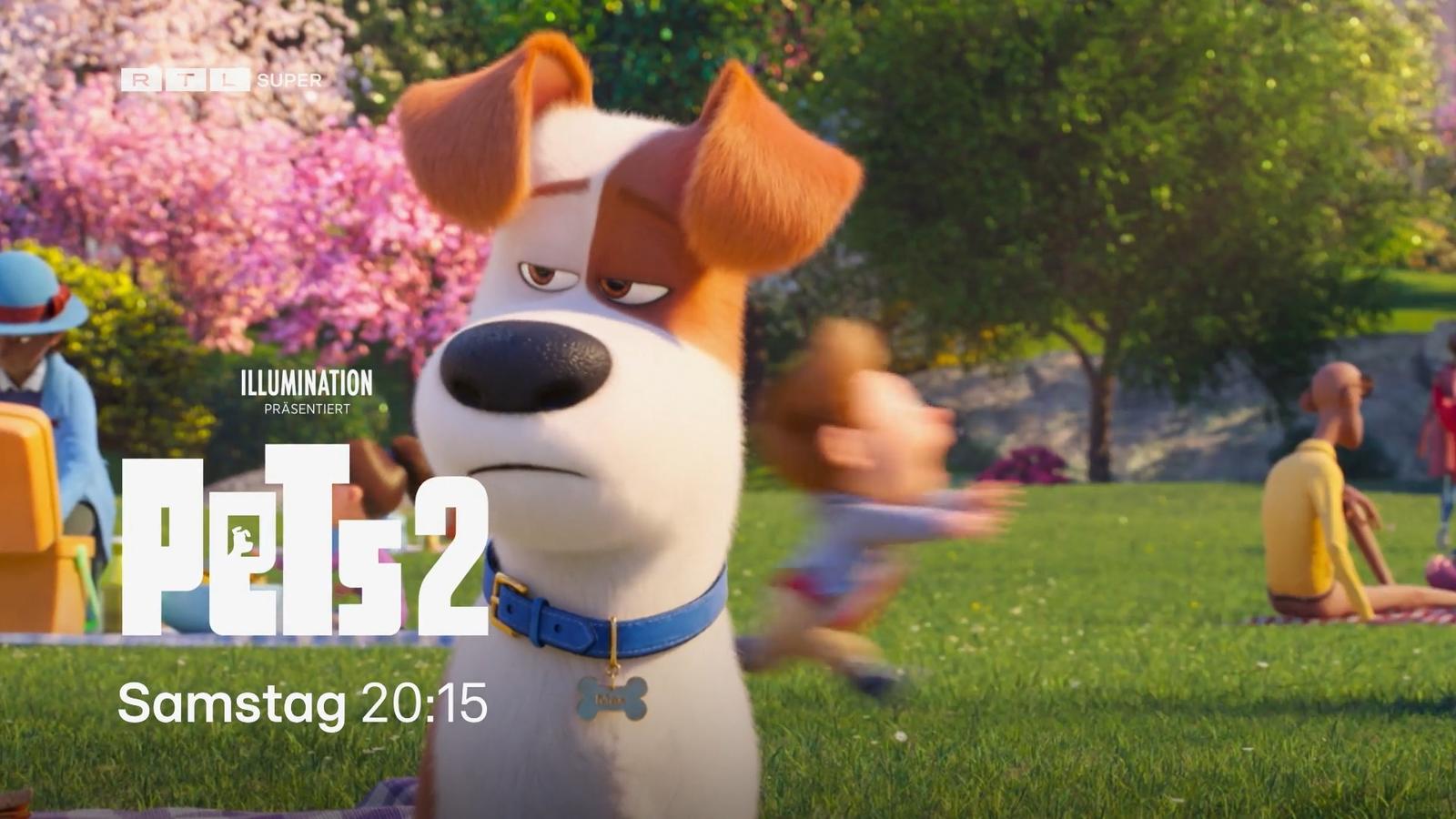Pets 2