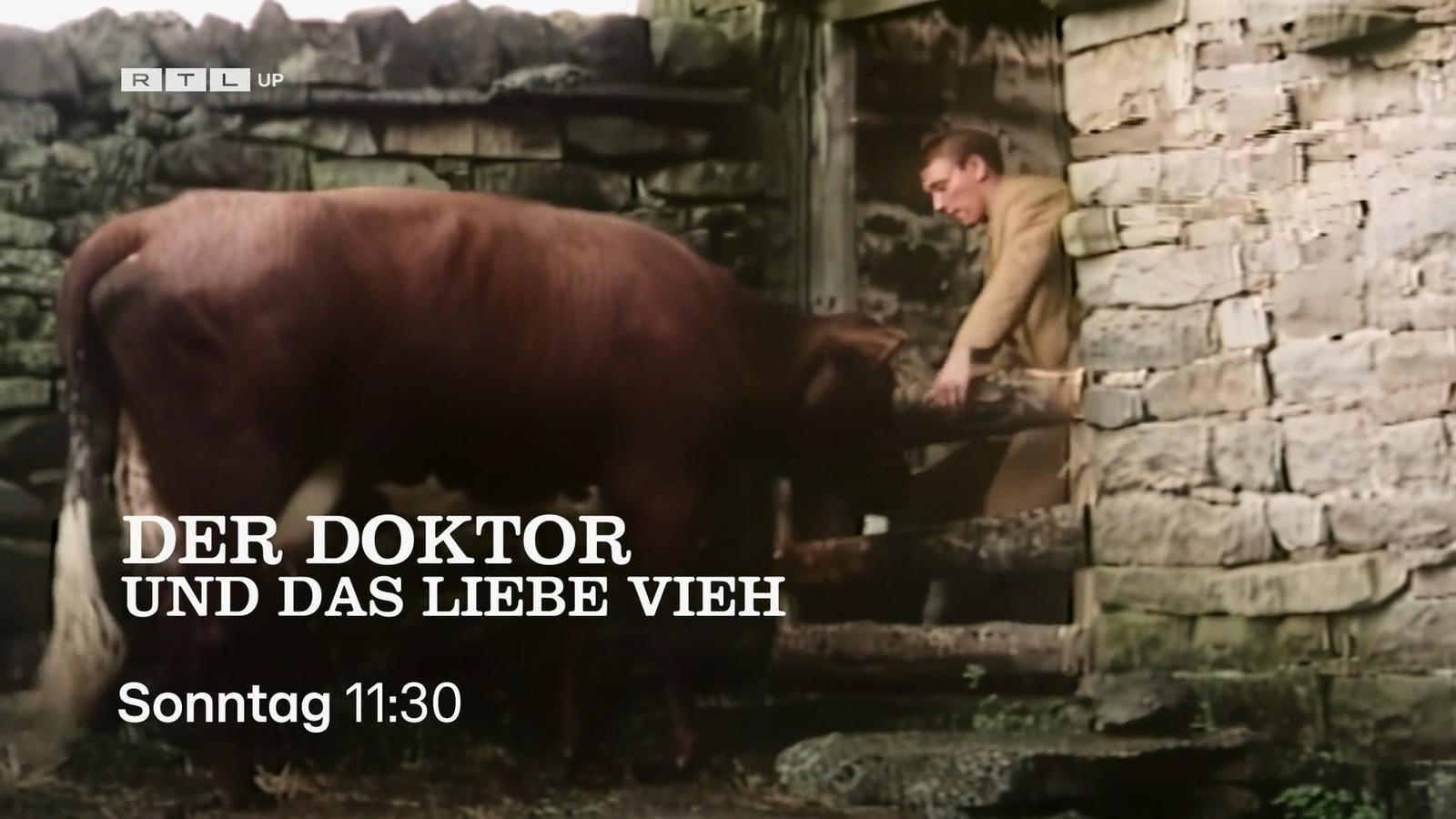 Der Doktor und das liebe Vieh