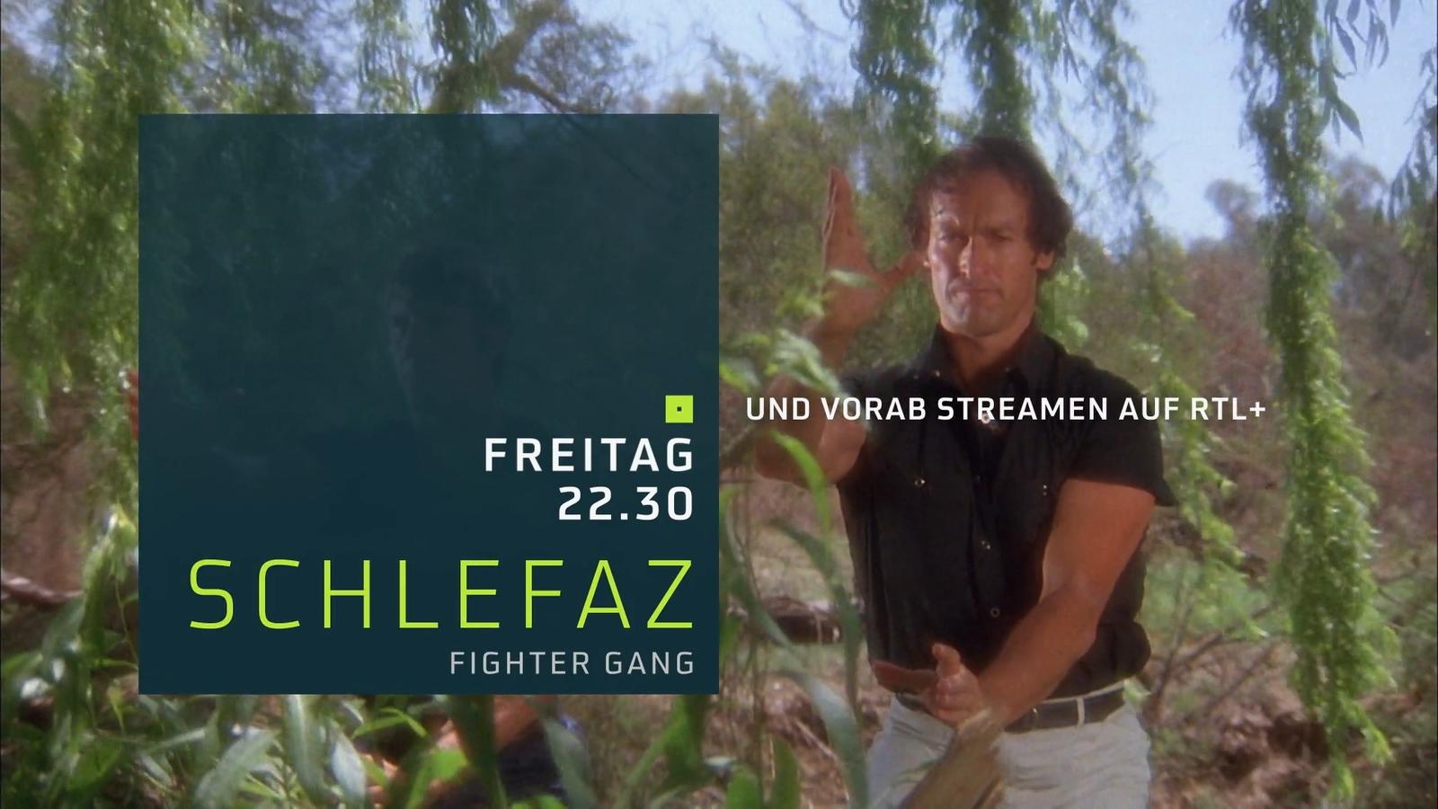 SchleFaZ: Fighter Gang