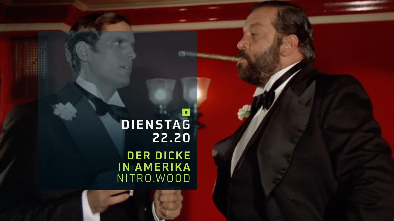 Der Dicke in Amerika