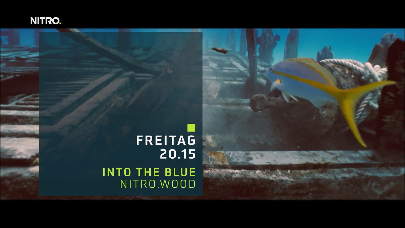 Into the Blue