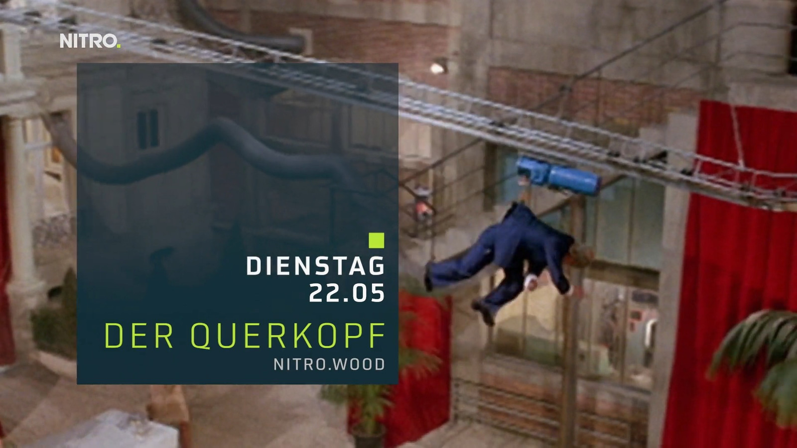 Der Querkopf